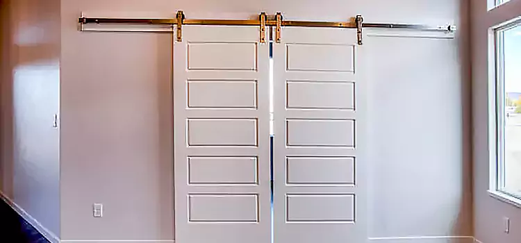 Glass Barn Door with Installation Hardware Kit Freeport